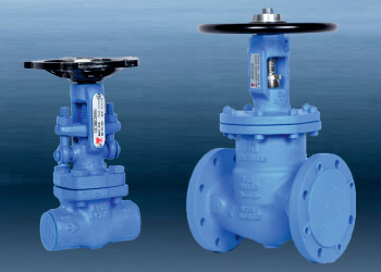 TBSV Bellow Seal Isolation Valves
